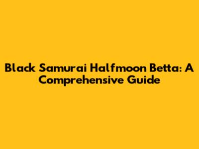 Black Samurai Halfmoon Betta: A Comprehensive Guide
