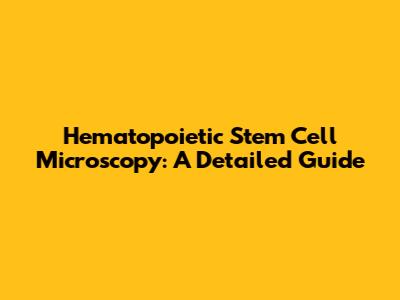 Hematopoietic Stem Cell Microscopy: A Detailed Guide